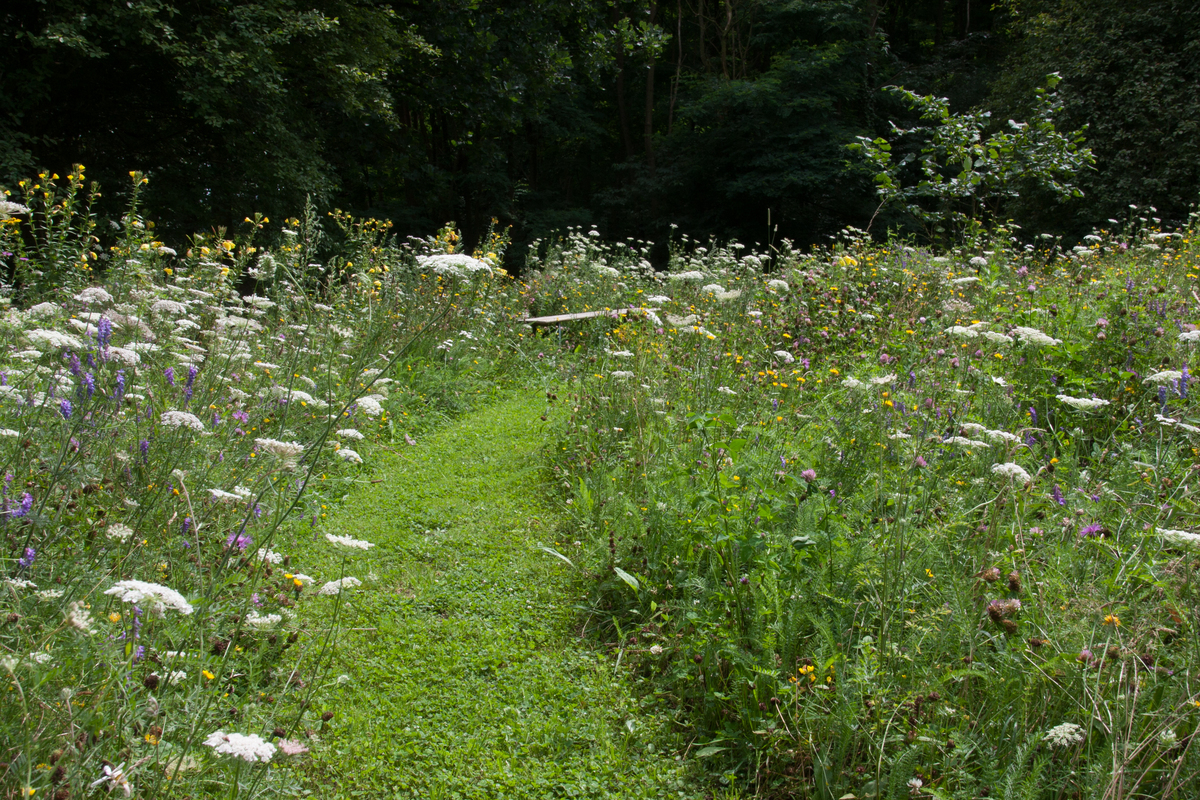 Waarom maaien in mei?